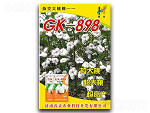 GK-898-޻-ũҵ